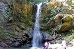 Avocat Waterfall Tour & Beach Stop Package