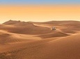 Dubai Red Dunes Desert Safari Adventure