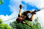 Ziplines in the jungle with ATV and Cenote swim from Cancun (lunch included)