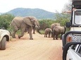  Pilanesberg Safari 3 Days 4 Star Private 