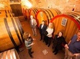 Barolo & Barbaresco Wine Tour with a Sommelier