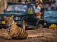 Golden Triangle Tour with Ranthambore (5 Star Hotel)
