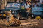 Golden Triangle Tour with Ranthambore (5 Star Hotel)