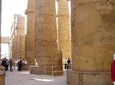 Karnak & Luxor Temples