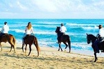 Horseback riding on the beach punta cana
