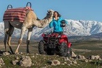 Camel and Quad in Marrakech