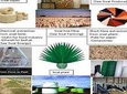Visit Sisal Plantations & Processing Factory - Full Day Tour