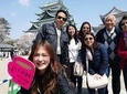 Moka's Nagoya Tour 【Nagoya Highlight Tour】 Nagoya Castle, Sakae, Osu Kannon