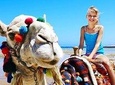 Camel Trekking in Abu Dhabi