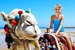 Camel Trekking in Abu Dhabi