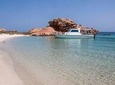 Cruises to Daymaniyat & Snorkeling