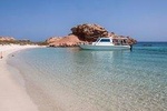 Cruises to Daymaniyat & Snorkeling