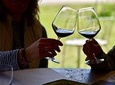 Winery tours and Tastings in Bolgheri