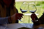 Winery tours and Tastings in Bolgheri