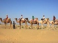 2 Days and 1 Night Camel Safari