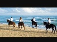 Sunset beach horsebackriding Punta Cana 