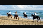 Sunset beach horsebackriding Punta Cana 