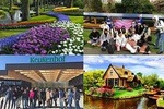 Holland Spectacle (Keukenhof Tulips Garden & Giethoorn)