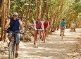 Experience Tour Tulum, Coba, Playa del carmen & Cenote 