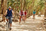 Experience Tour Tulum, Coba, Playa del carmen & Cenote 