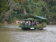 Bohol Island Countryside Tour with Buffet Lunch