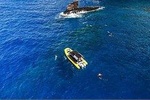 4-Hour Lanai Snorkel Dolphin Express Tour from Lahaina Harbor