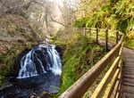 Explore Glens of Antrim, Northern Ireland