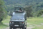 Akagera wildlife Safari, Private Day-trip