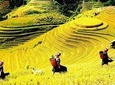 Sapa 2 Days Trek with 1 Night Homestay