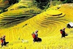 Sapa 2 Days Trek with 1 Night Homestay