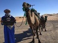 Ouarzazate - Desert - Fes 5 days 4 nights