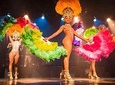 Show Ginga Tropical - Brazilian Culture Show with Brazilian Steakhouse Dinner