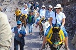 Ouirgane DAy Trip Mule Trek & Berber Villages From Marrakech