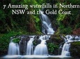 Natural Bridge, Skywalk and Mt tamborine Adventure!