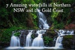 Natural Bridge, Skywalk and Mt tamborine Adventure!