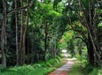 Cuc Phuong National Park 1 Day Tour From Hanoi