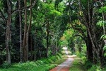 Cuc Phuong National Park 1 Day Tour From Hanoi