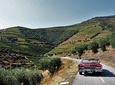 Private Tour to Vila Real with Lunch