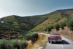 Private Tour to Vila Real with Lunch