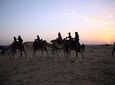 Overnight Desert Safari with BBQ Dinner & Breakfast