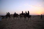 Overnight Desert Safari with BBQ Dinner & Breakfast