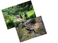 WRCT Adventures - Zip-line & Horseback Riding (Combo Tour)