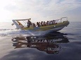 Afternoon Sea Safari