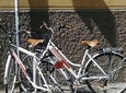 Bike Tour Bologna