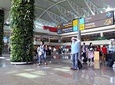 Bali Private Transfer: from Airport to Ubud Hotel Area
