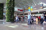 Bali Private Transfer: from Airport to Ubud Hotel Area