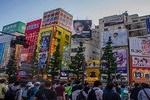 Akihabara Guided Walking Tour 