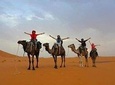 Overnight Desert Tour from Fez with Camel Ride and Desert Camp