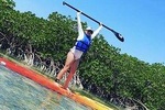 Mangroves Stand-Up Paddleboard Tour