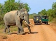 Adventure Tour in Sri Lanka (17 Days)